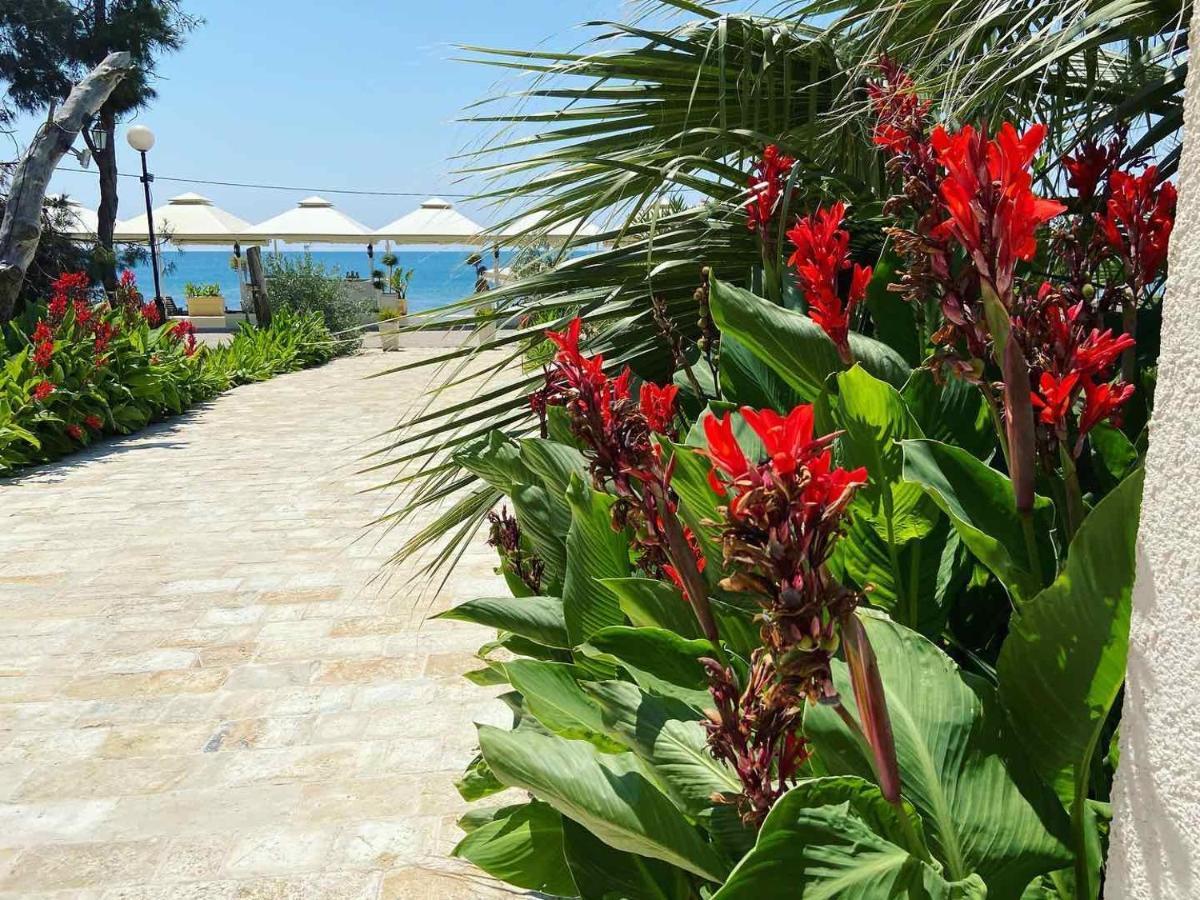 Apartments Kuce Lekovica Beach & Snack Bar- Bistro ภายนอก รูปภาพ