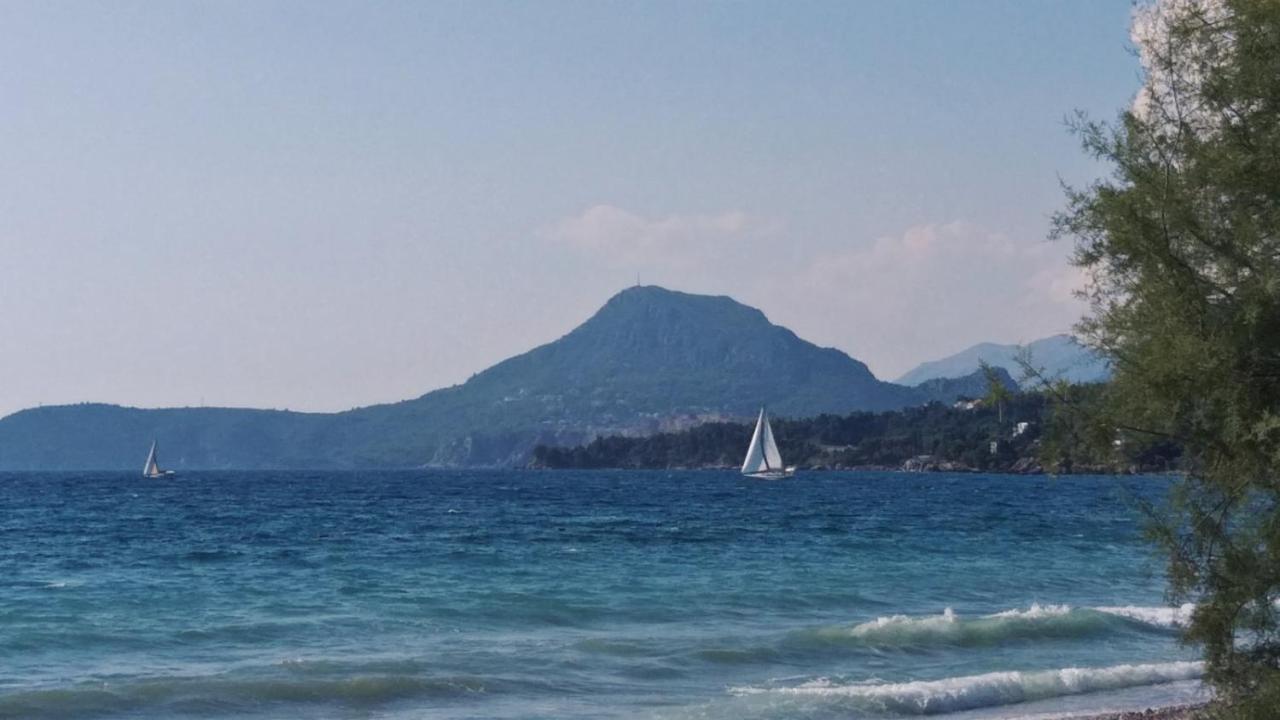 Apartments Kuce Lekovica Beach & Snack Bar- Bistro ภายนอก รูปภาพ